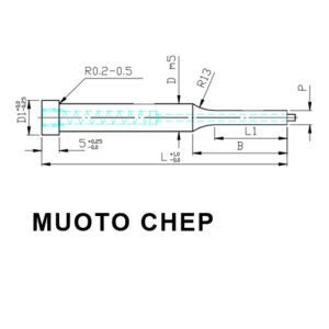 Pyöreä pistin ejektorilla CHEP lieriökanta